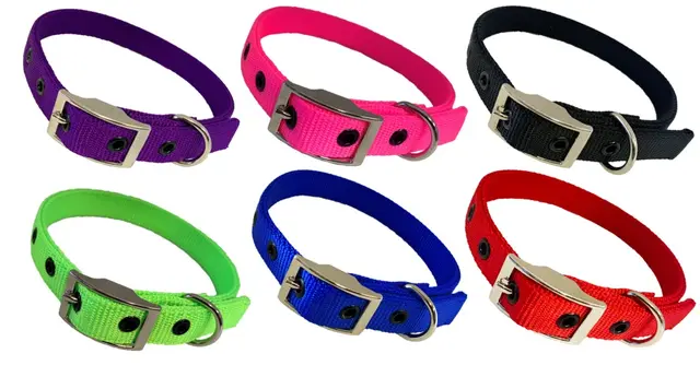 Taurus Nylon Dog Collars 25mm